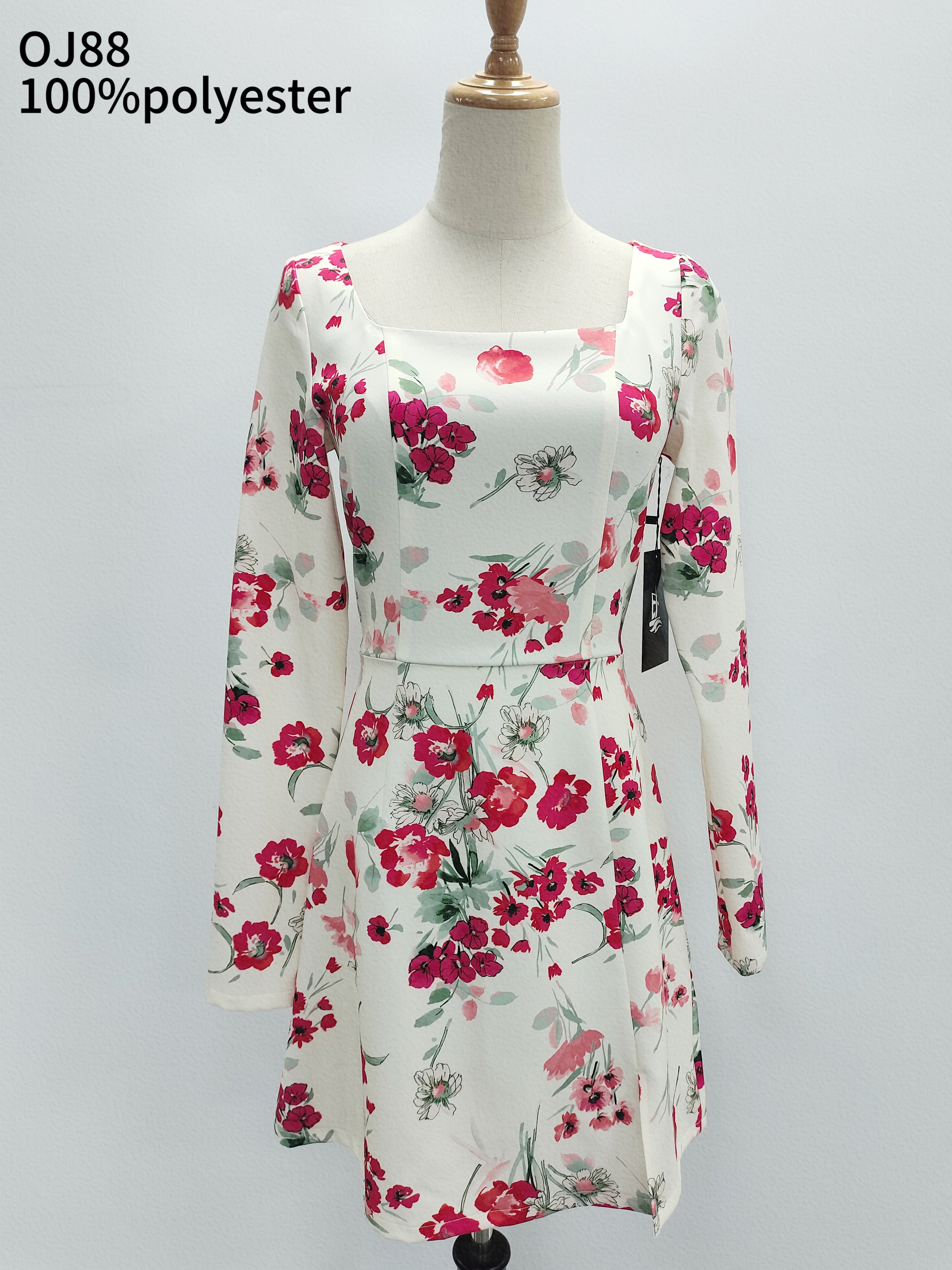 Lady’s floral print LS dress