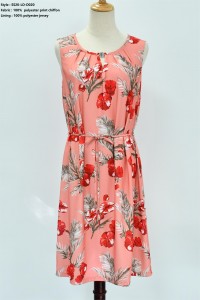 Women’s Print Woven Dress