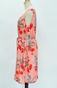 Women’s Print Woven Dress