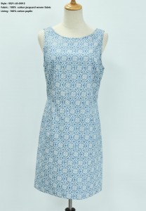 Women’s Print Woven Dress