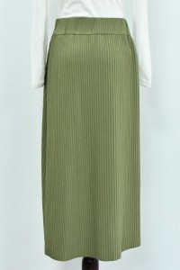 Women’s  Pleated Skirt