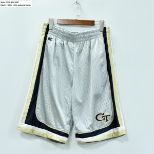 Men’s Sports Mesh Shorts